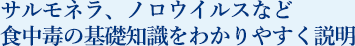 サルモネラ、ノロウイルスなど食中毒の基礎知識をわかりやすく説明