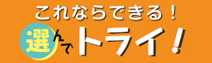 これならできる！選んでトライ！