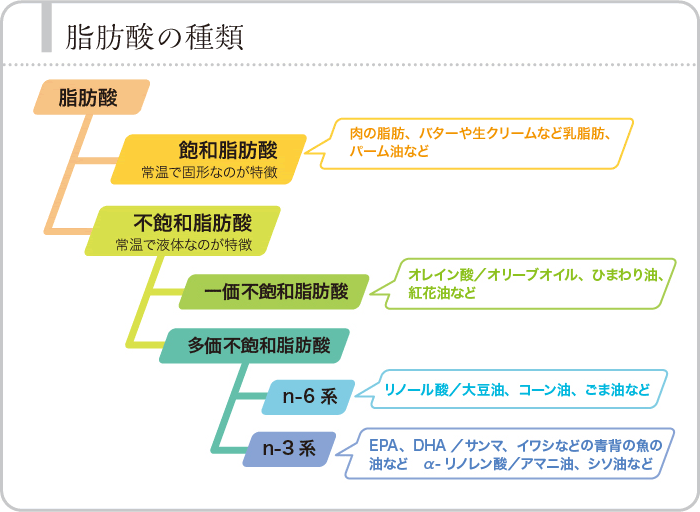 脂肪酸の種類