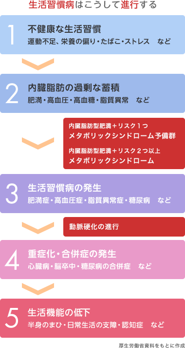 生活習慣病はこうして進行する