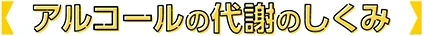 アルコールの代謝のしくみ