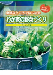 わが家の野菜づくり