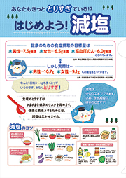 健康キャリーファイル