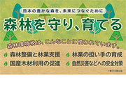 オリジナルポケットティッシュ　森林を守り、育てる
