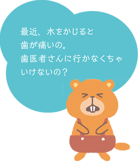 最近、木をかじると歯が痛いの。歯医者さんに行かなくちゃいけないの?