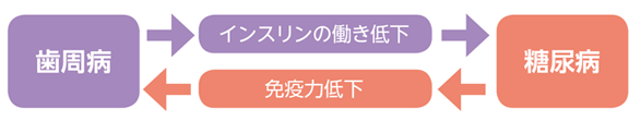 歯周病と糖尿病のおそろしい関係